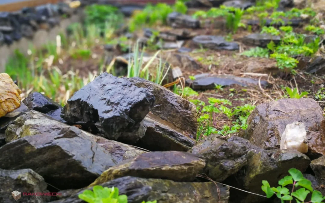 Kamień w ogrodzie jako element wspierający bioróżnorodność