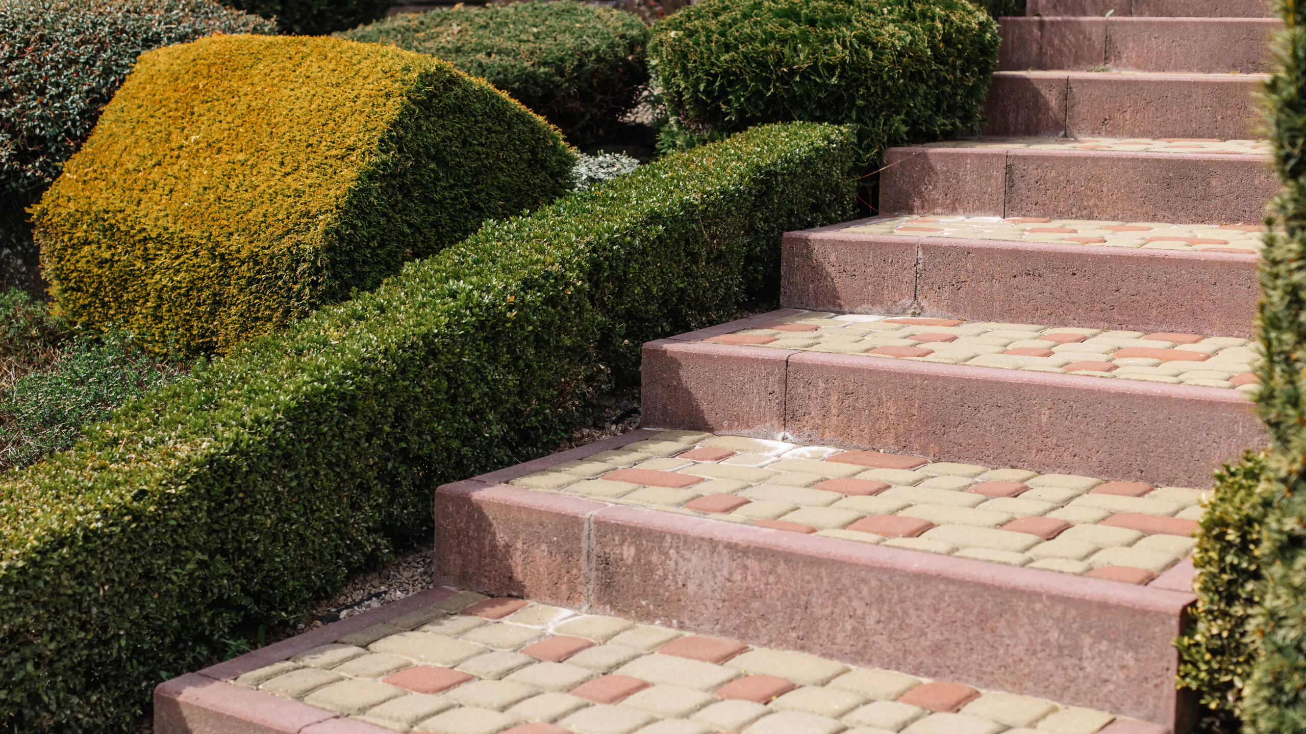 architektura-krajobrazu-i-aranzacja-wnetrz-przed-domem-oraz-schody-do-domu-przed-domem-scaled