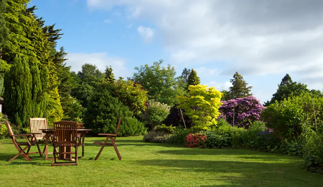 Kora czy kamień pod tuje – poznaj zalety i wady obu rozwiązań