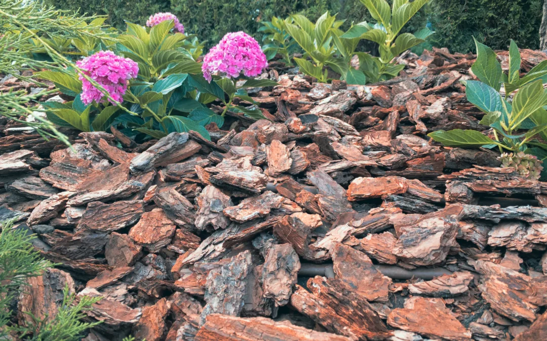 Jaka kora do ogrodu? Te rodzaje najlepiej podkreślą jego piękno