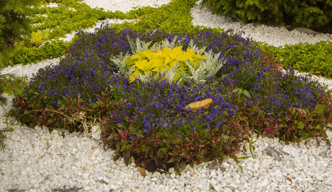 Rabaty z kamieniami – które kamienie nadają się najlepiej i jak je wykorzystać?