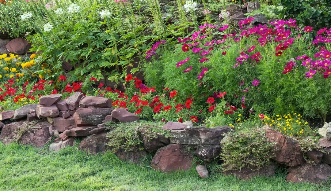 Z czego zrobić obrzeża w ogrodzie?